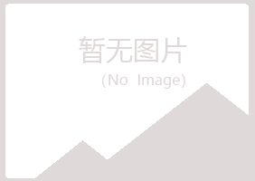 向阳区女孩制造有限公司